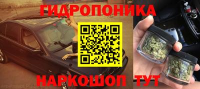 MDMA Гатчина