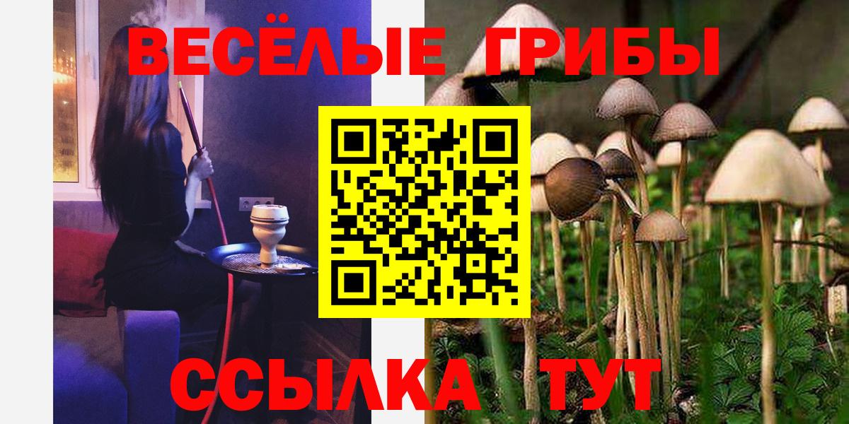 Гай  Псилоцибиновые грибы MAGIC MUSHROOMS  Вход с VPN  Псилоцибиновые грибы ЛСД 